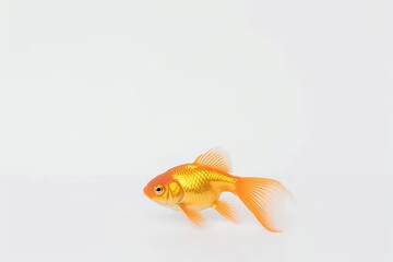 goldfish swimming on a clean white background Generative AI