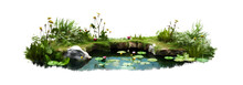 Pond In The Garden , Isolated On  Transparent Background, Png, Generative Ai.