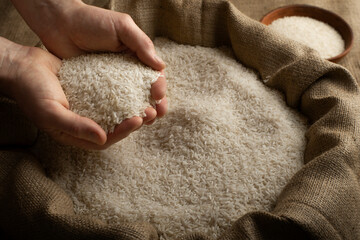 Wall Mural - Human hands holding handful of rice over burlap sack