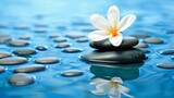 Fototapeta Desenie - Background of harmony and relaxation with a flower and stones in water. GENERATE AI