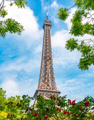 Wall Mural - Eiffel Tower in spring, Paris, France