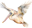 Watercolour pelican illustration created with Generative AI technology