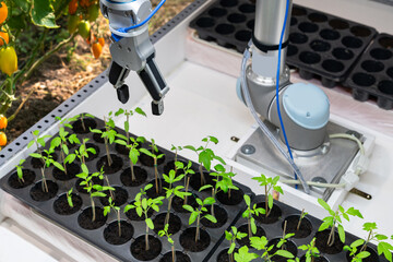 Aufkleber - A robot in a greenhouse evaluates the quality of tomato seedlings using a sensor. Smart farming concept