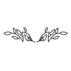 Wall Mural - Floral frames, borders, wreaths Trendy Line drawing, line art style isolated  background 