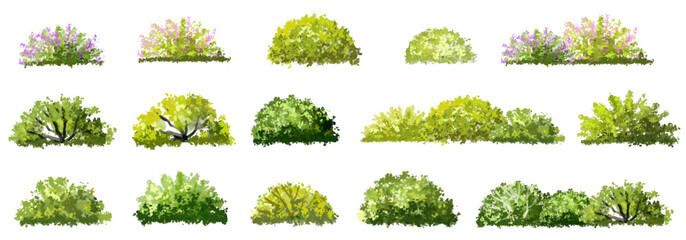 Wall Mural - vector of green grass or shrub isolated on white background,tree elevation for landscape concept,env