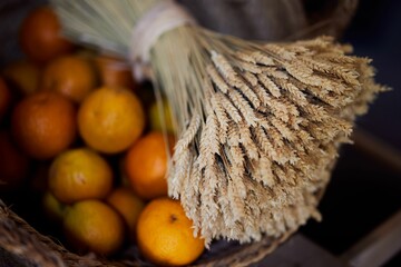 Wall Mural - Closeup of corns and oranges