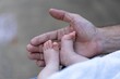 © Emneems/Wirestock Creators - Closeup of an adult's hand holding baby feet