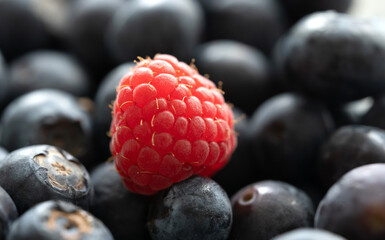 Poster - raspberry on a blueberries fresh harvest, macro shot