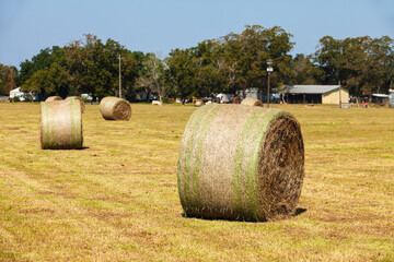 Sticker - Rolled Hay Bales in rural Alabama