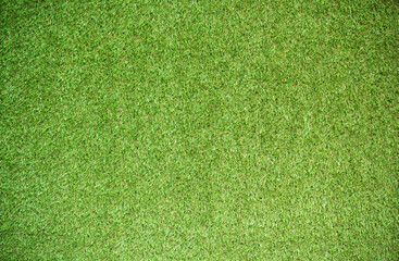 Canvas Print - green grass background