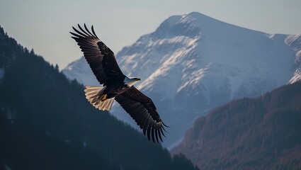  Eagle flying over mountains, huge wingspan. Generative AI