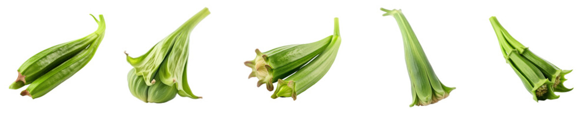 Set of okra isolated on transparent background	