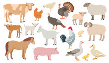 Set Of Farm Animals In Different Poses And Colors. Cow, Sheep, Pig, Ram, Horse And Goat. Hen, Turkey, Duck, Goose And Kids. Vector Icons Flat Or Cartoon Illustration.