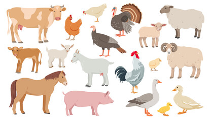 Wall Mural - Set of farm animals in different poses and colors. Cow, sheep, pig, ram, horse and goat. Hen, turkey, duck, goose and kids. Vector icons flat or cartoon illustration.