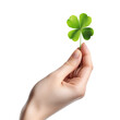 Hand Holding a Four Leaf Clover Isolated on Transparent Background - Generative AI

