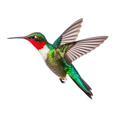 Wall Mural - Hummingbird Flying Isolated on Transparent Background - Generative AI
