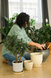 © satura_ - Spring hobby happy young woman transplanting in flower pot houseplant with dirt or soil at home. Gardening plant and green tropical concept