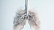 3D human lung, anatomy, white background. Generative Ai. 