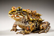 Image of a argentine horned frog. Amphibian. Wildlife animals. Illustration, Generative AI.