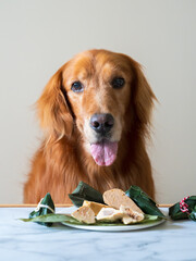 Poster - Golden retriever and rice dumplings on the table