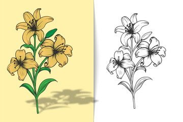 Color illustration of a lily coloring page