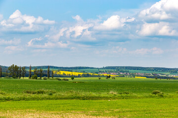 Wall Mural - Summer landscape, with fields and blue sky. European countryside.