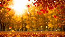 Autumn Orange Leaves Over Blurred Sky, Autumn Nature Background With Bokeh. Autumn Orange Leaves Over Blurred Sky, Autumn Nature Background With Bokeh. Generative AI