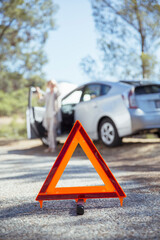 Wall Mural - Woman talking on cell phone with automobile hood raised at roadside