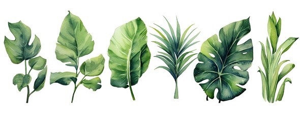 Set of tropical leaves and flowers isolated on white background. Highly detailed plant collection. Generative AI