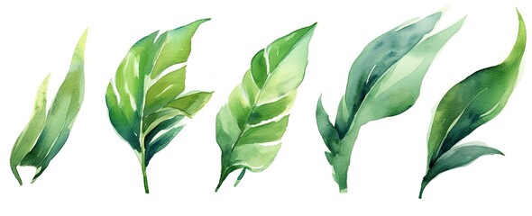 Set of tropical leaves and flowers isolated on white background. Highly detailed plant collection. Generative AI