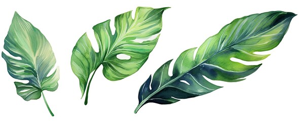 Set of tropical leaves and flowers isolated on white background. Highly detailed plant collection. Generative AI