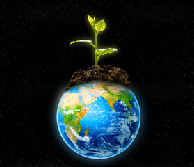 earth and plant