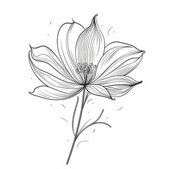 Poster - Flower Fine Line Hand Drawn Illustration