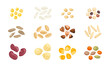 Set of different cereal grains, seeds and legumes. Vector cartoon illustration of millet, rice, amaranthus, tricolor quinoa, rye, wheat, buckwheat, oats, red beans, chickpeas, corn and lentils.