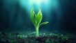 © Alex - Small green sprout growing from soil in dark forest. 3D rendering generative ai