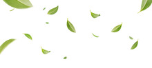 Flying Whirl Green Tea Leaves In The Air With Transparent Background Png, Healthy Products By Organic Natural Ingredients Concept