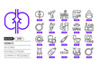 Kidneys related, pixel perfect, editable stroke, up scalable, line, vector bloop icon set.