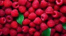 Close Up Of Fresh Red Raspberries Background. Top View. Healthy Food Concept. Beautiful Selection Of Freshly Picked Ripe Red Raspberries.
