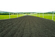 Wide angle, shallow depth of field of a flat racing horse racing track seen looking down to the famous town of Newmarket, Suffolk, UK