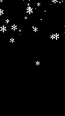 Poster - 3d rendered animation of falling snowflakes on a black background