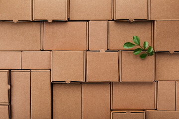 Eco, zero waste, plastic free and saving energy minimal concept from sprout with green leaves growing from recycled cardboard box top view.