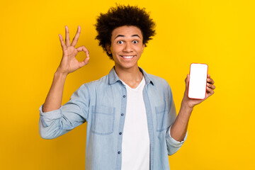 Poster - Photo of excited confident man wear jeans shirt showing okey gadget screen empty space isolated yellow color background