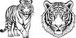 Set of tiger's head and body vector silhouettes. Black tattoo illustration. Suitable for logo art, tattoo, stickers, cards, t-shirt design etc