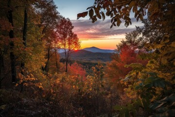 Poster - forest with a view of a mountain range and the changing leaves at sunset, created with generative ai