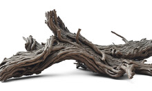 Twisted Driftwood Isolated On Transparent Background. Generative AI