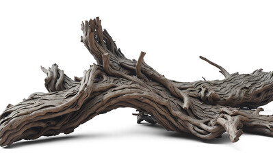 Twisted driftwood isolated on transparent background. Generative AI