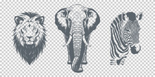 Vector Graphic African Animals On An Isolated Background. Lion, Elephant And Zebra. Zoo.