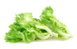 green frillies iceberg lettuce isolated on white background