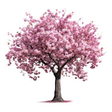 Pink Cherry Blossom Tree Isolated On Transparent Background, Blooming Tree In Spring PNG, Generative AI