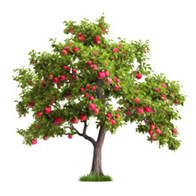 Apple Tree Isolated On Transparent Background, Red Ripe Fruits And Green Foliage, PNG, Generative AI